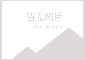 台湾埋没音乐有限公司